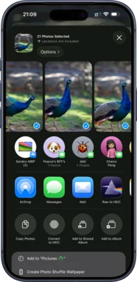 Raw to HEIC app screenshot