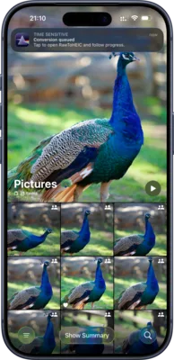 Raw to HEIC app screenshot