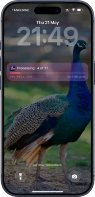 Raw to HEIC app screenshot